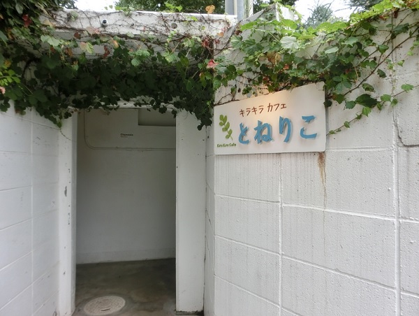 カフェ 赤坂,隠れ家カフェ,キラキラカフェ とねりこ